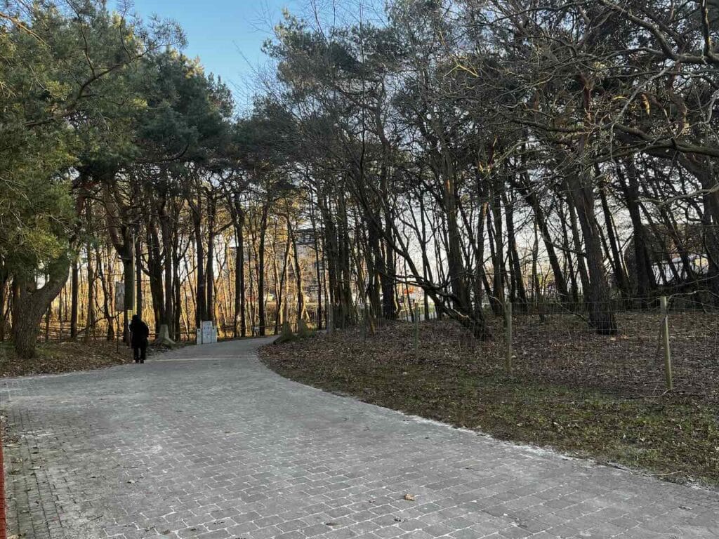 bliskość plaży Wydma Mrzeżyno