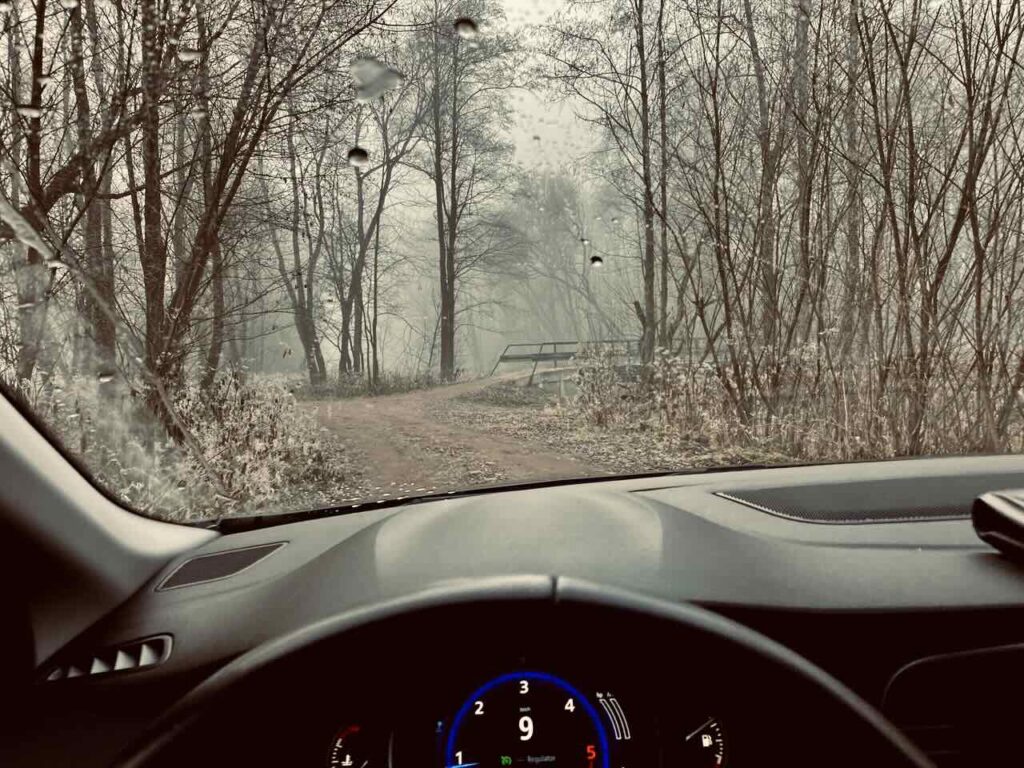 Megane IV w Środku Lasu